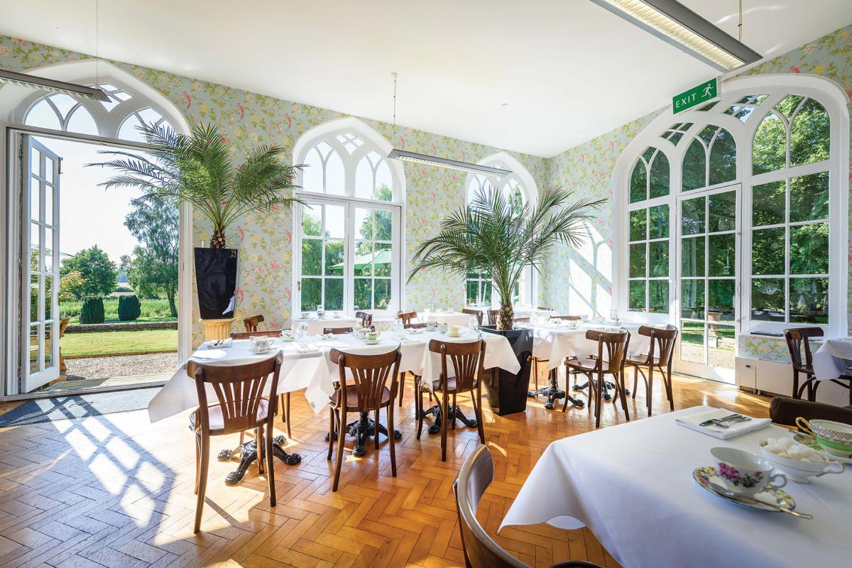 Images from The Orangery Tea Room